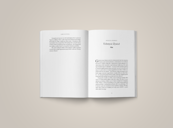 Ken Robinson o odkrywaniu talentow i pasji