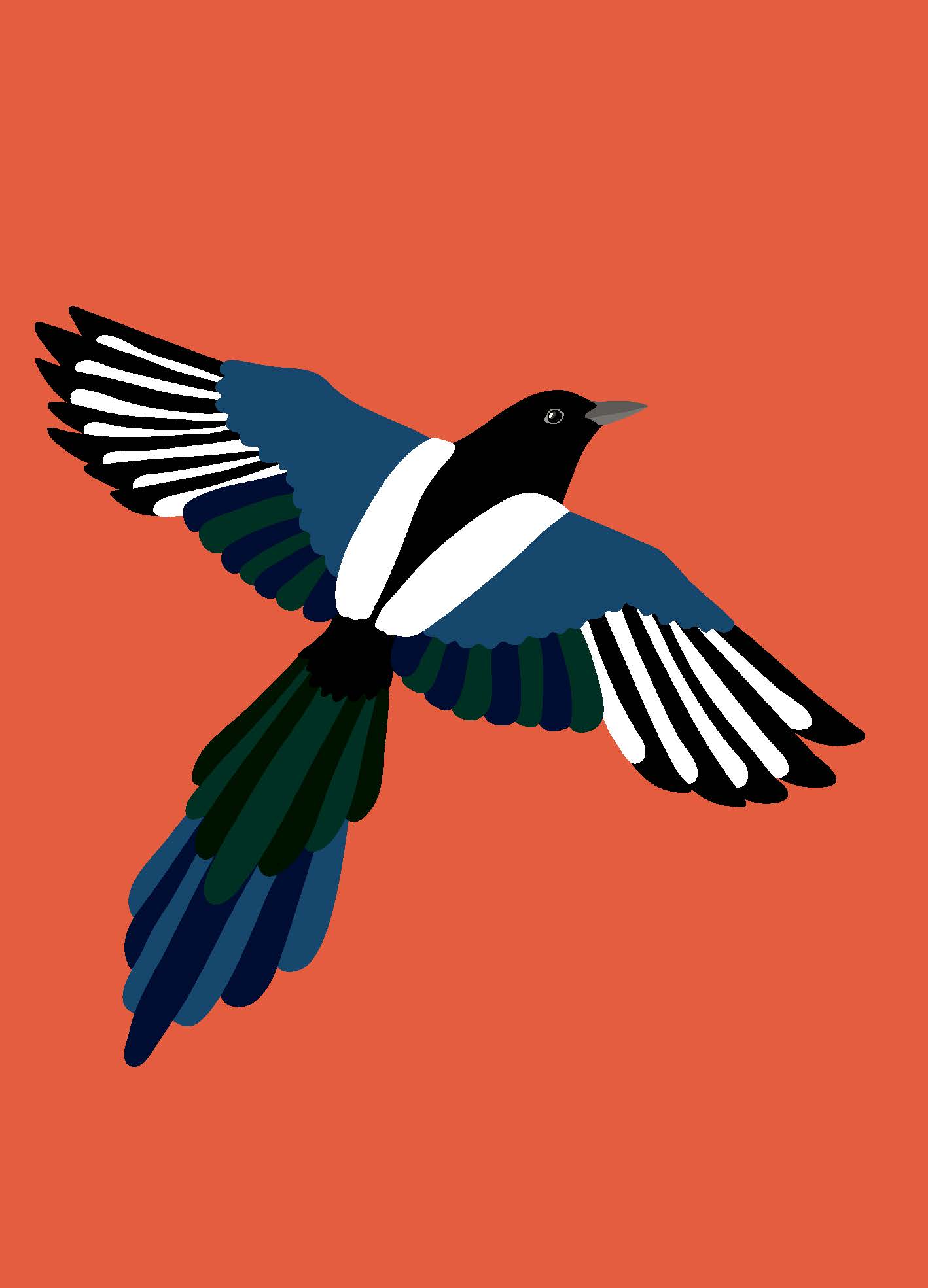 Ornitorama Ornitorama-ksiazka-dla-dzieci-o-ptakach-sójka