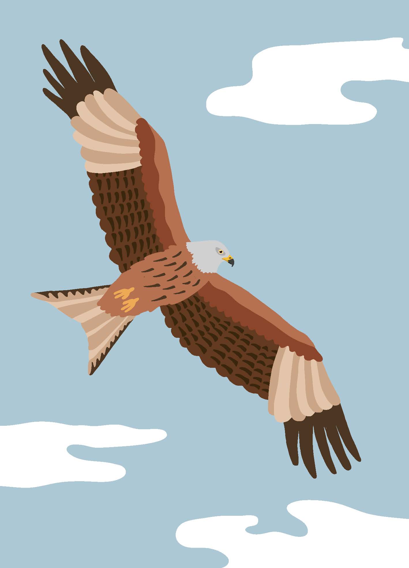 Ornitorama Ornitorama-ksiazka-o-ptakach-dla-dzieci