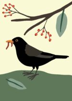 Ornitorama-ksiazka-dla-dzieci-kos