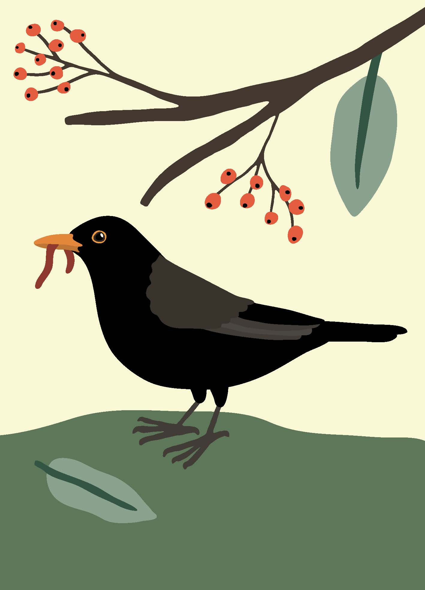 Ornitorama Ornitorama-ksiazka-dla-dzieci-kos