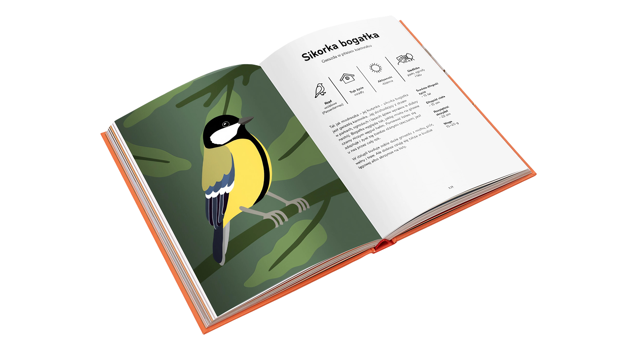 Ornitorama - Inside Mockup 3 Ornitorama-portrety-ptakow-dla-dzieci