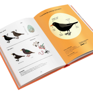 Książka-dla-dzieci-o-ptakach-kos