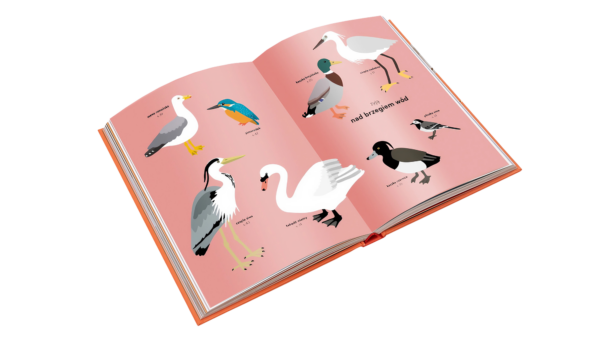 ornitorama-ptkai-dla-dzieci