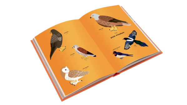 Ornitorama - obrazek 6